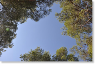 Aanmelden voor het TimeOut programma De aanmelding sluit telkens 2 weken voor aanvang van het programma. Na aanmelding nemen wij graag contact met je op. Heb je nog vragen, bel of mail gerust voor een persoonlijke toelichting!