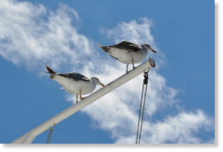 Ben je effectiever, maak je bewuste keuzes en word je niet meer beheerst door de waan van de dag. Je bent in staat om een goede balans te creëren tussen inspanning en ontspanning.
